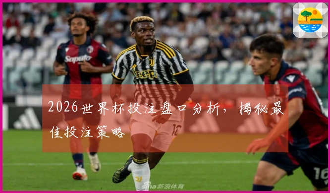 2026世界杯投注盘口分析，揭秘最佳投注策略