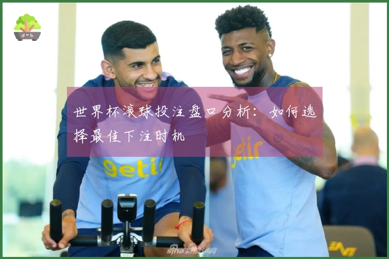 世界杯滚球投注盘口分析：如何选择最佳下注时机