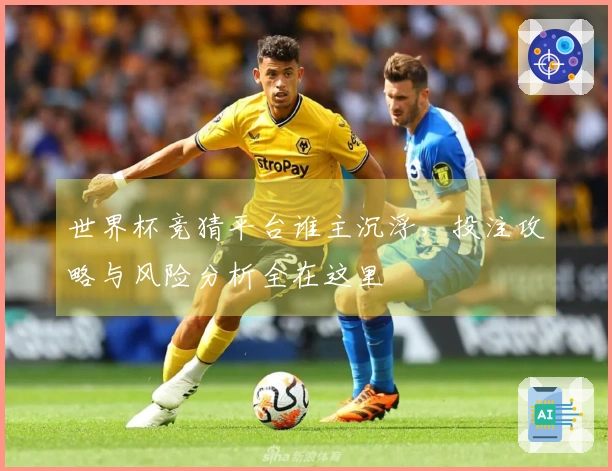 世界杯竞猜平台谁主沉浮，投注攻略与风险分析全在这里