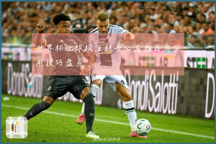 世界杯让球投注新手必看推荐与实用技巧盘点