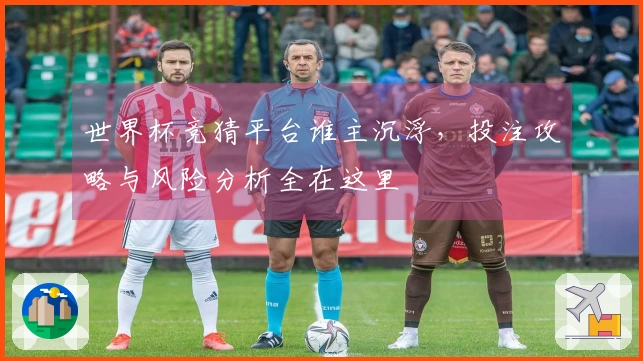 世界杯竞猜平台谁主沉浮，投注攻略与风险分析全在这里