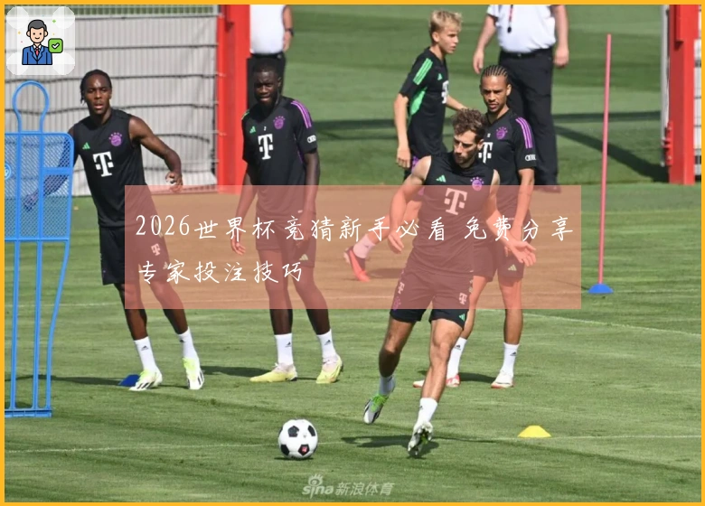 2026世界杯竞猜新手必看 免费分享专家投注技巧