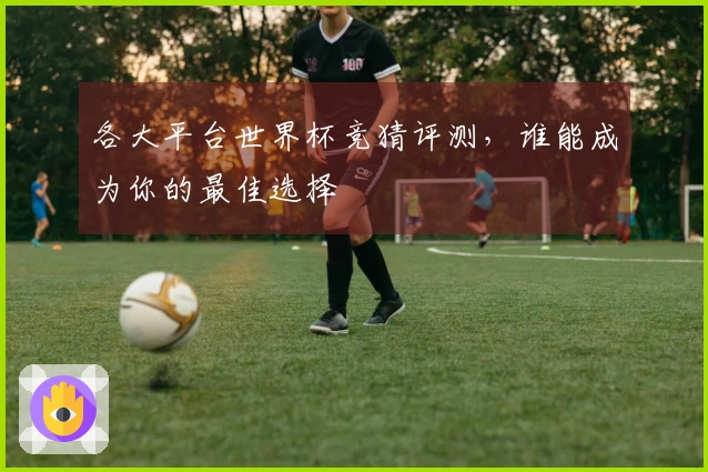 各大平台世界杯竞猜评测，谁能成为你的最佳选择